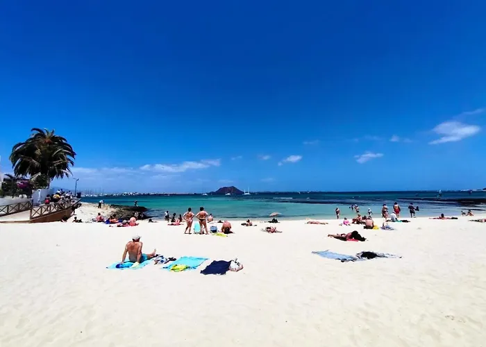 公寓 Estudios Center 科拉雷侯